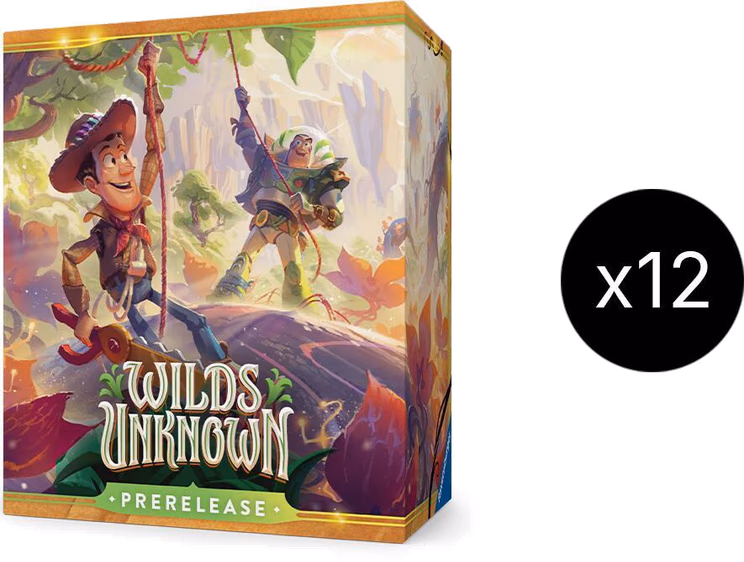 Disney Lorcana Wilds Unknown Prerelease Box Case