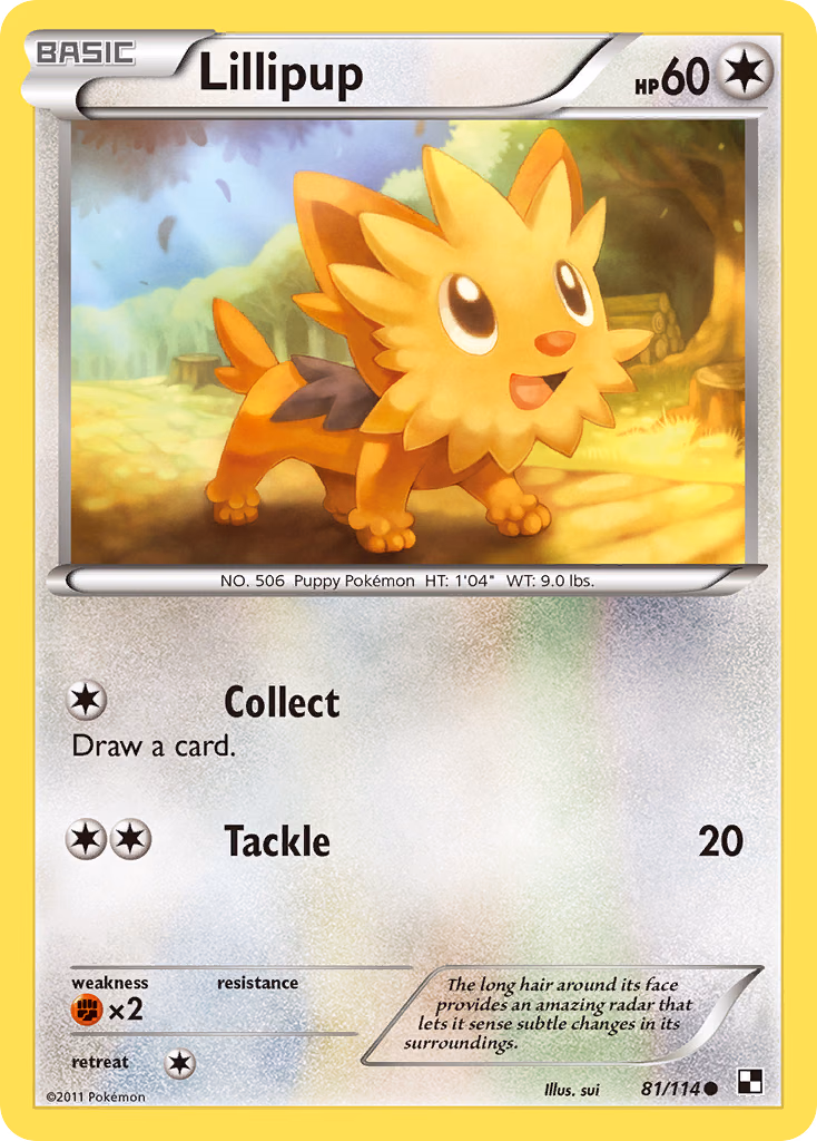 Lillipup Pokemon card (81/114, Black & White)