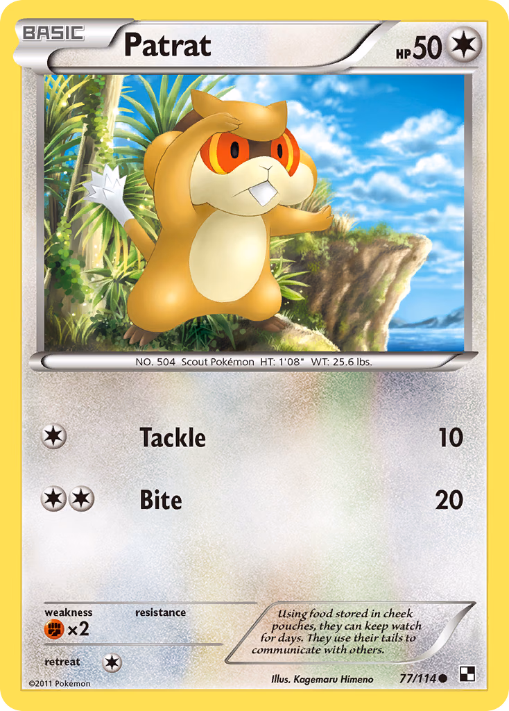 Patrat Pokemon card (77/114, Black & White)