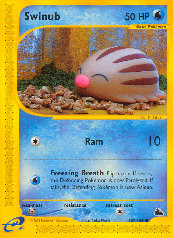 Swinub Pokemon card (107/144, Skyridge)