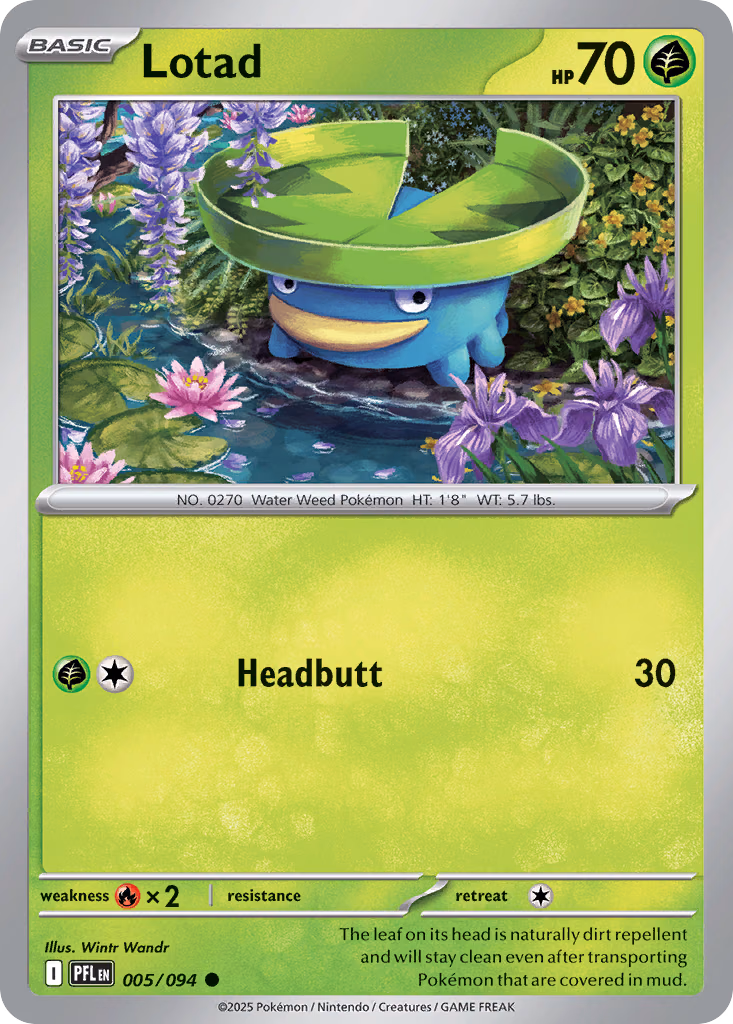 Lotad Pokemon card (005/094, Phantasmal Flames)