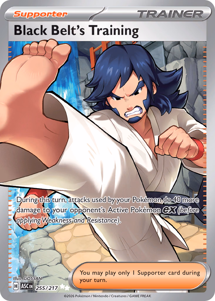 Black Belt's Training Pokemon card (255/217, Ascended Heroes)