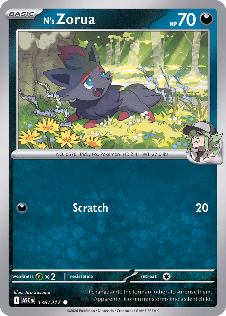 N's Zorua Pokemon card (136/217, Ascended Heroes)