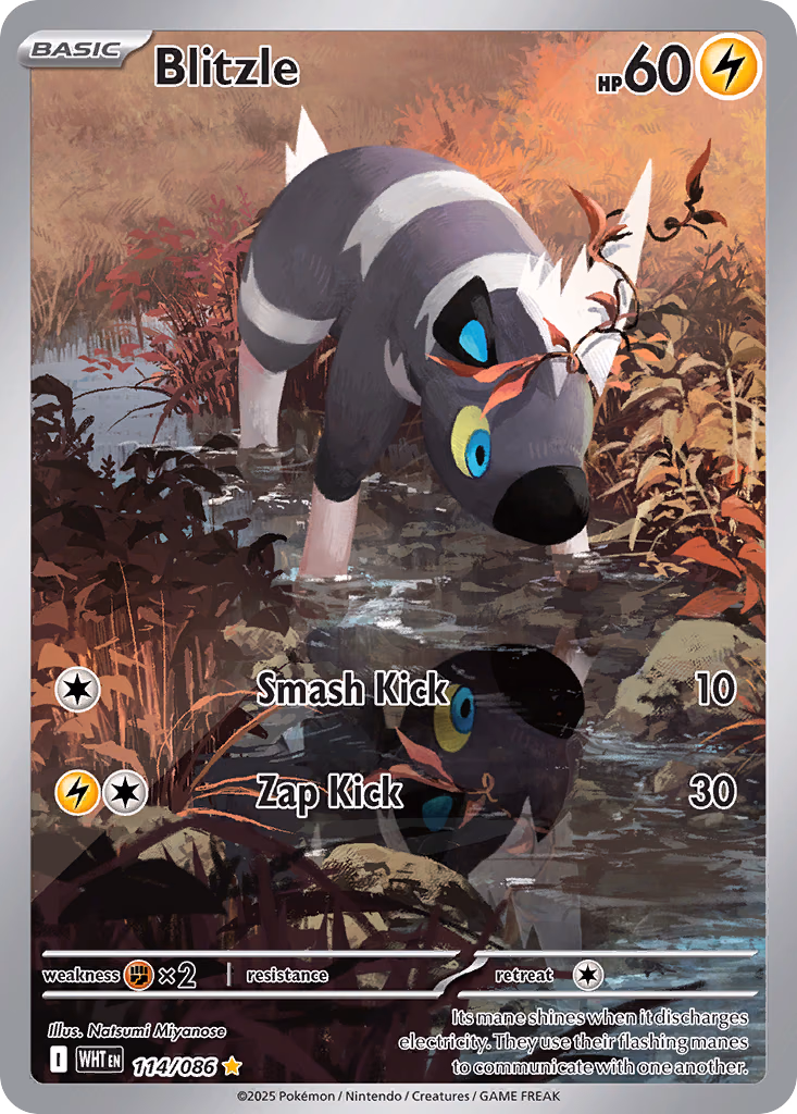 Blitzle Pokemon card (114/086, White Flare)