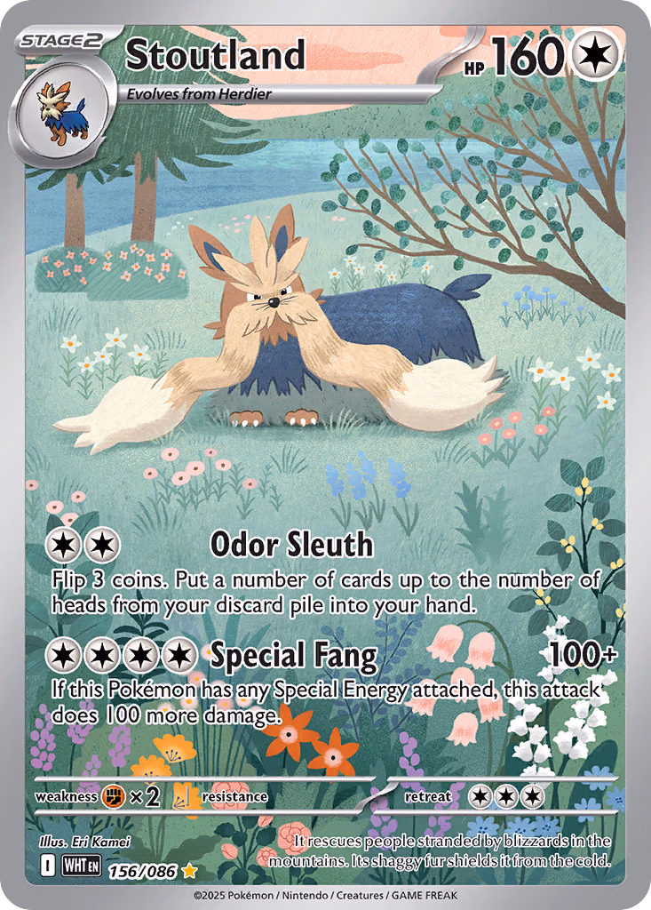 Stoutland Pokemon card (156/086, White Flare)