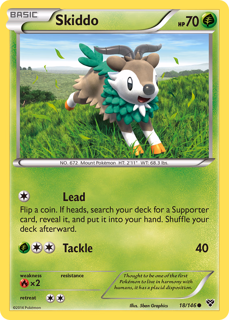 Skiddo Pokemon card (18/146, XY)