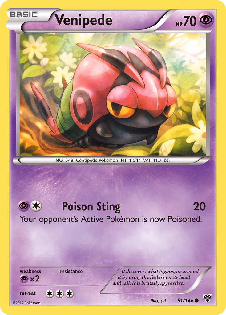 Venipede Pokemon card (51/146, XY)