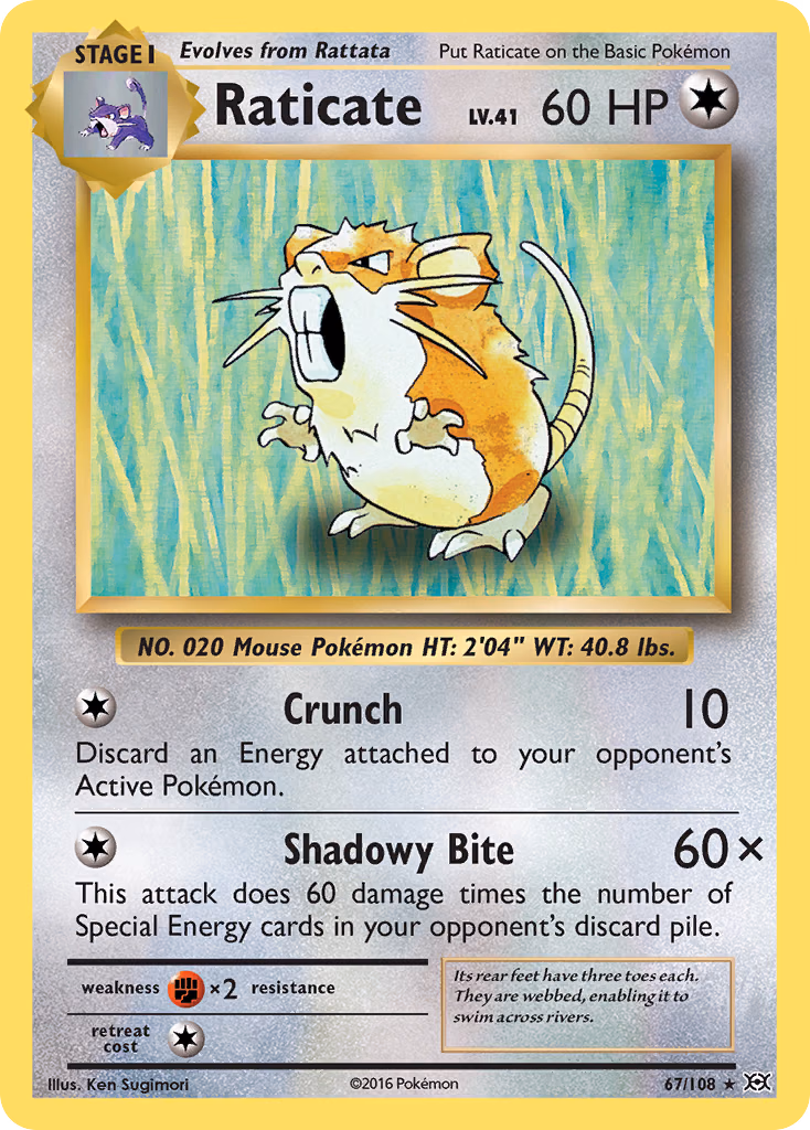 Raticate Pokemon card (67/108, Evolutions)