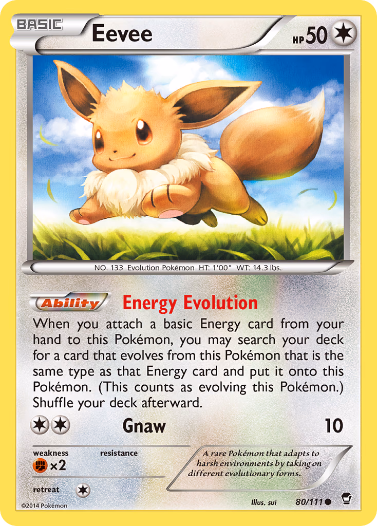 Eevee Pokemon card (80/111, Furious Fists)