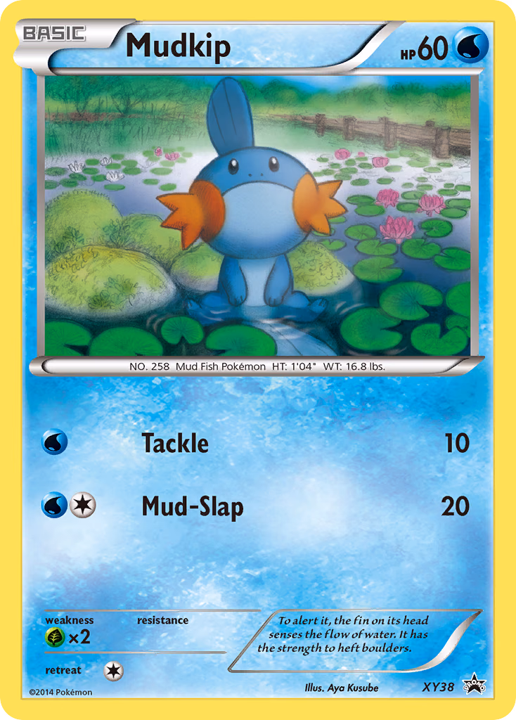 Mudkip Pokemon card (XY38, XY Black Star Promos)