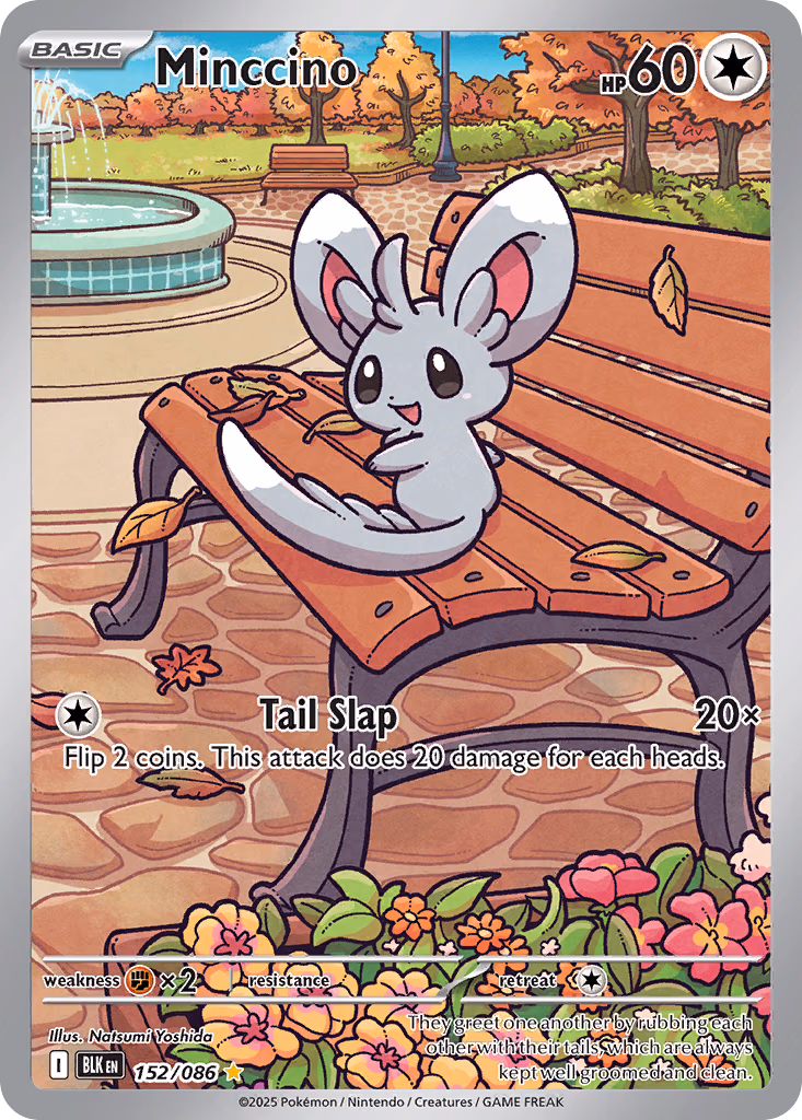 Minccino Pokemon card (152/086, Black Bolt)