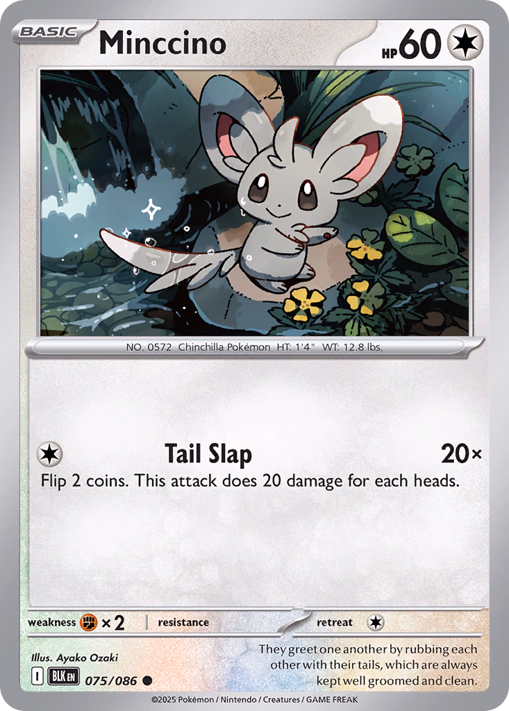 Minccino Pokemon card (075/086, Black Bolt)