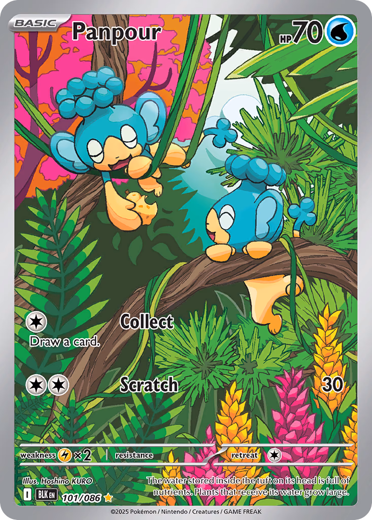 Panpour Pokemon card (101/086, Black Bolt)