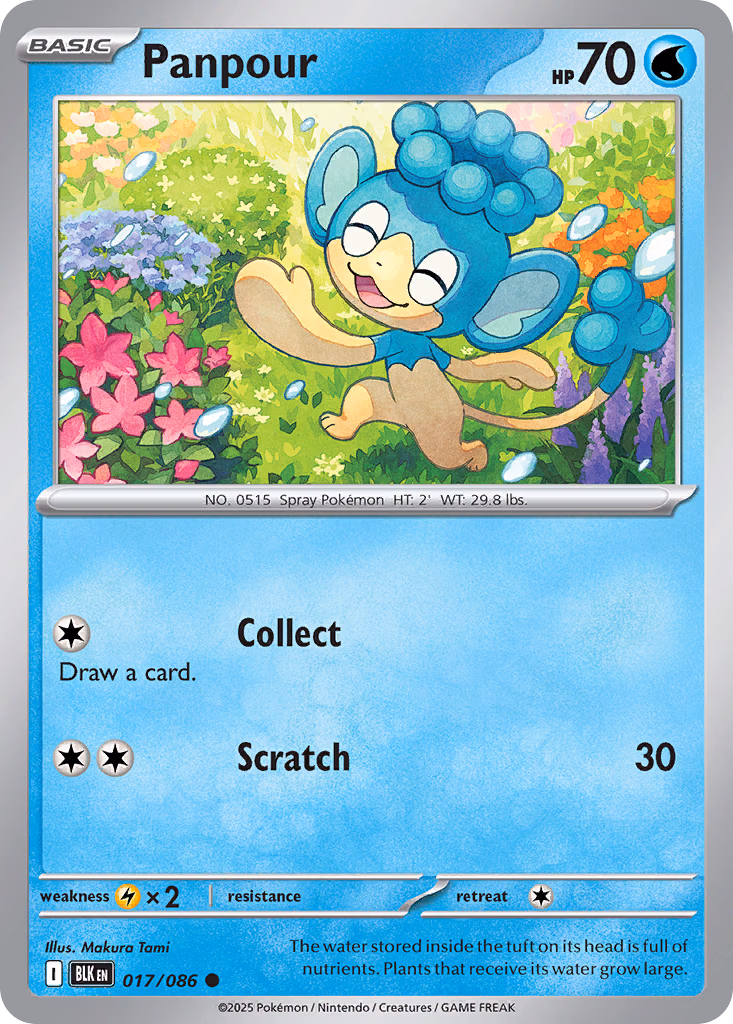 Panpour Pokemon card (017/086, Black Bolt)