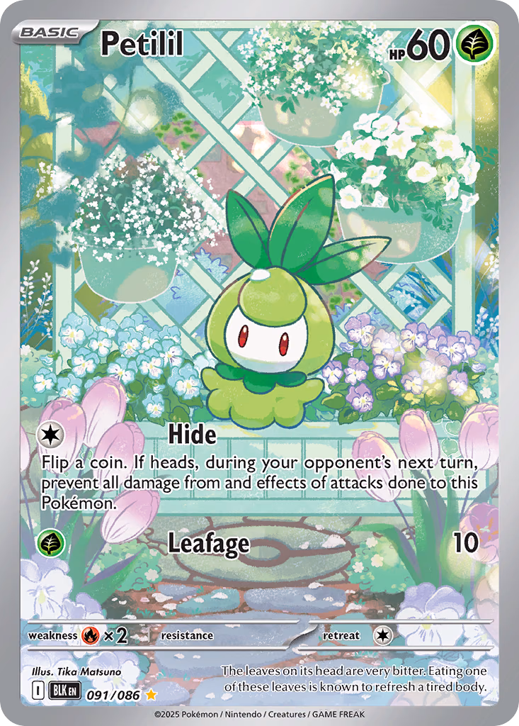 Petilil Pokemon card (091/086, Black Bolt)