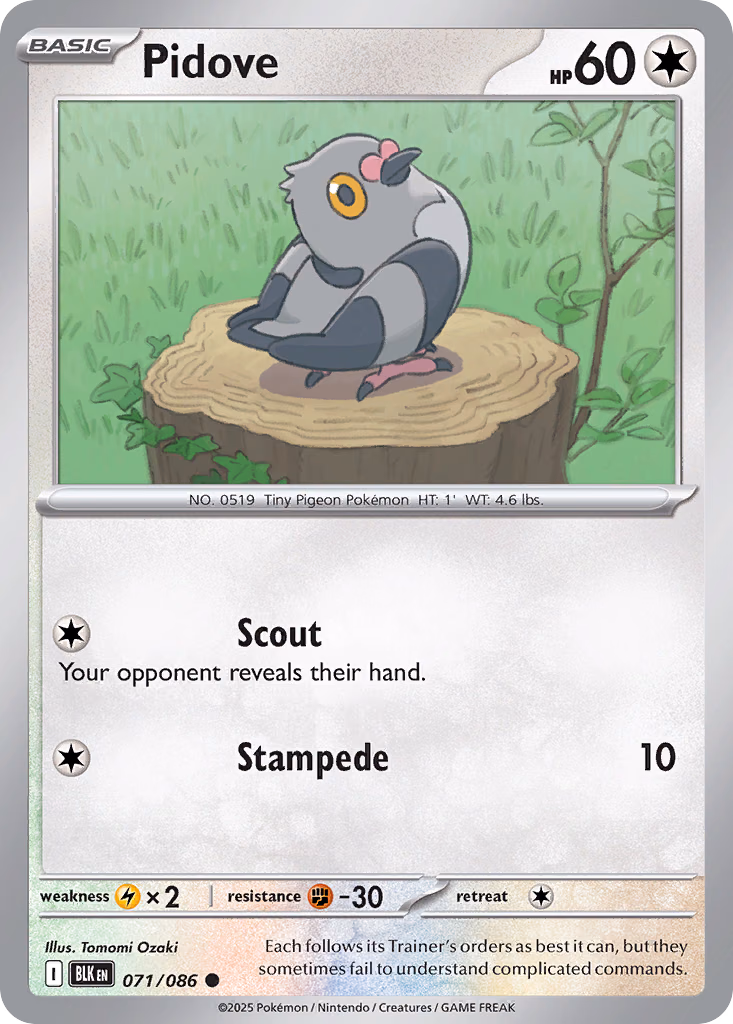 Pidove Pokemon card (071/086, Black Bolt)